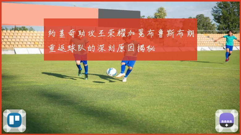 约基奇助攻王荣耀加冕布鲁斯布朗重返球队的深刻原因揭秘