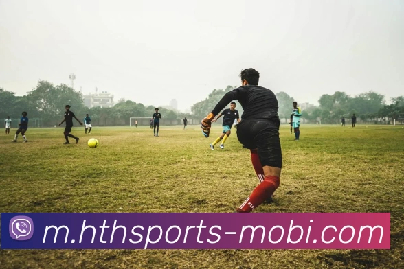 华体会体育APP 封面图